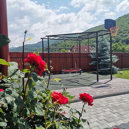 Dió vendégház Parajd Kültér fotó